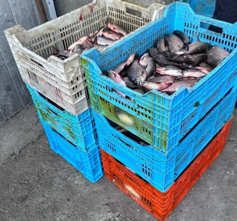 скрин