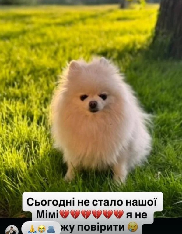 скрин