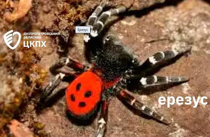скрин