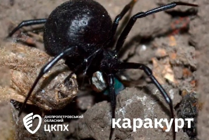 скрин