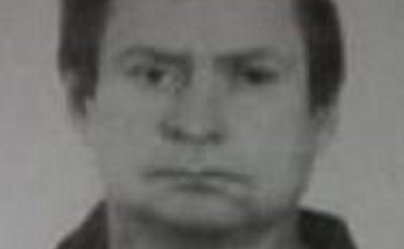 Попугай