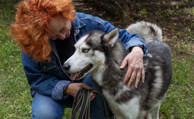 человек и собака