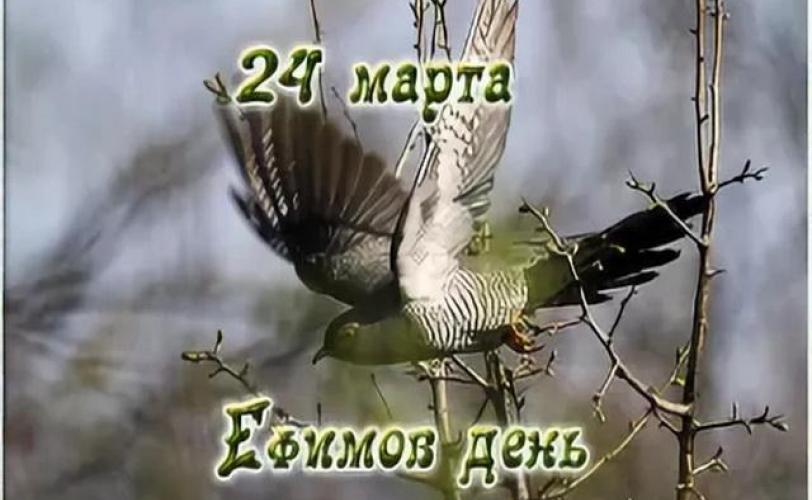 24 марта