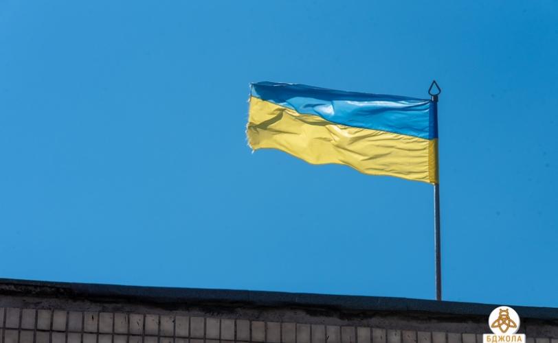 бджола