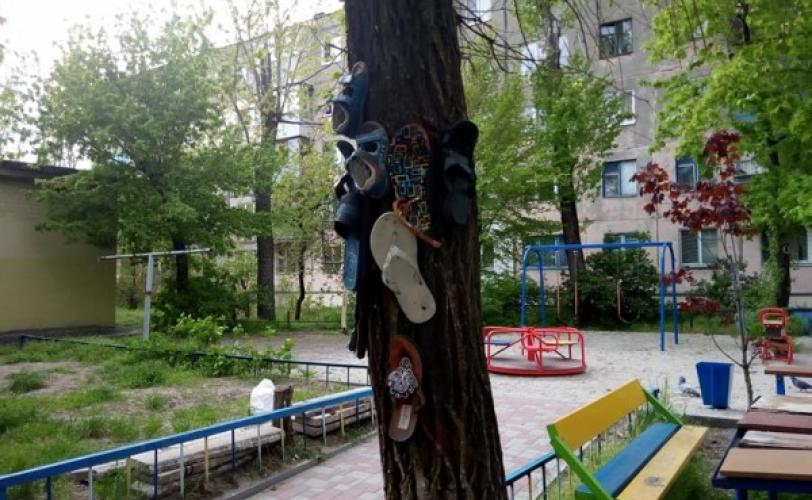 тапки
