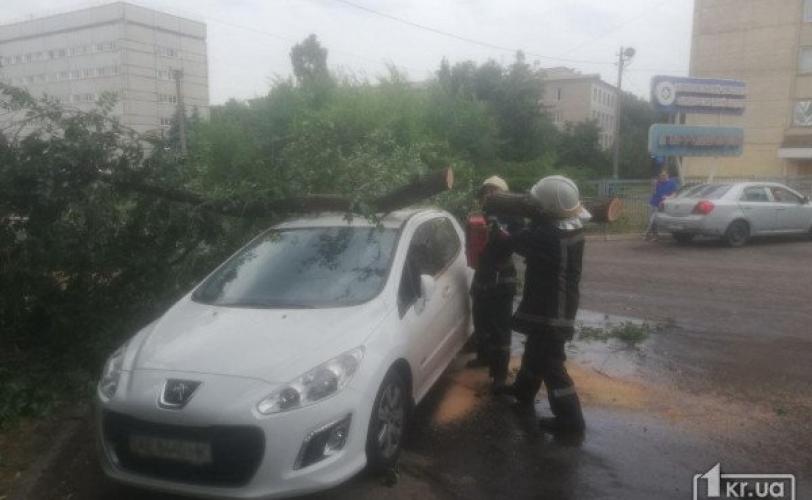 дерево