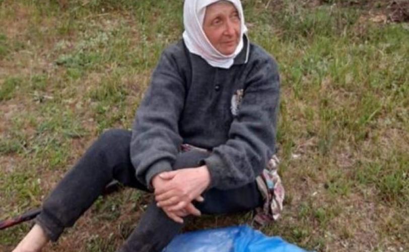 розыск