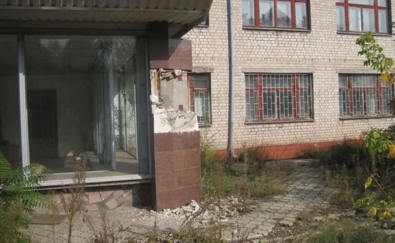 институт