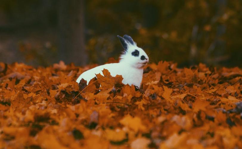 приметы