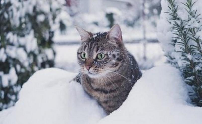 приметы