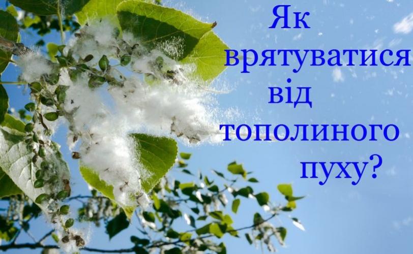 пух