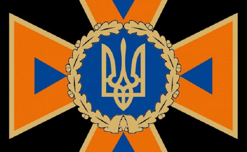 дснс