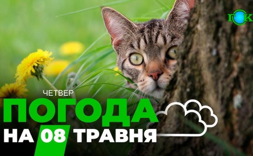 погода