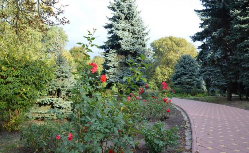 Дніпроазот