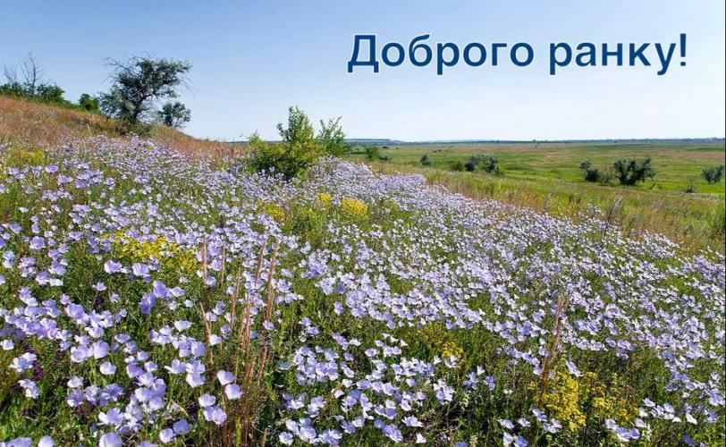 ситуація в місті