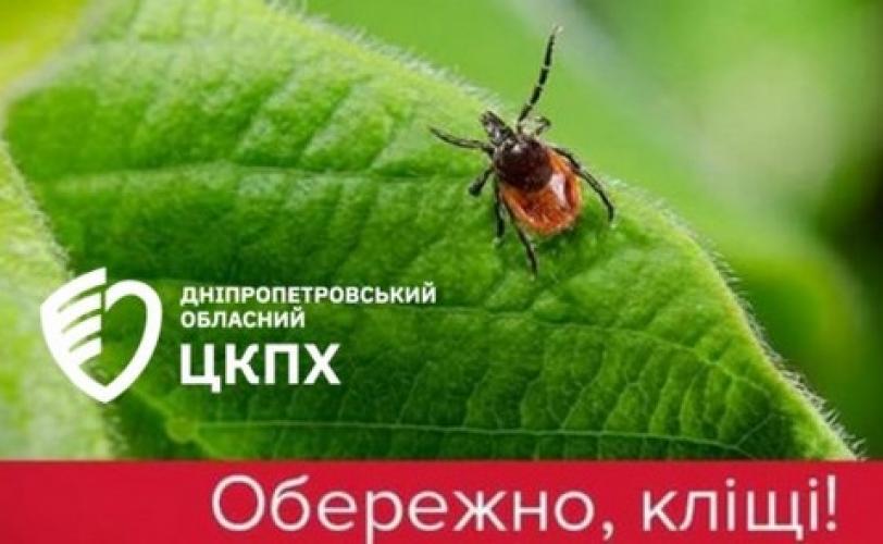 кліщі