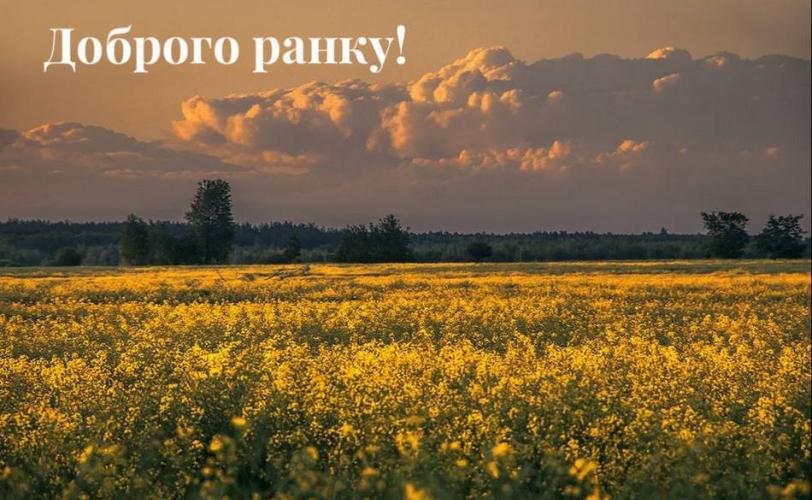 ситуація в місті