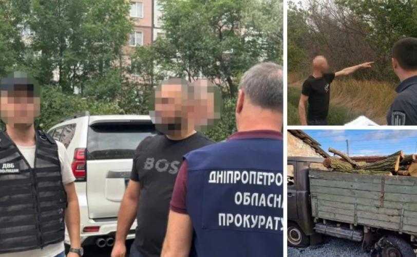 вирубування лісів