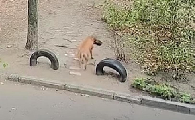 в