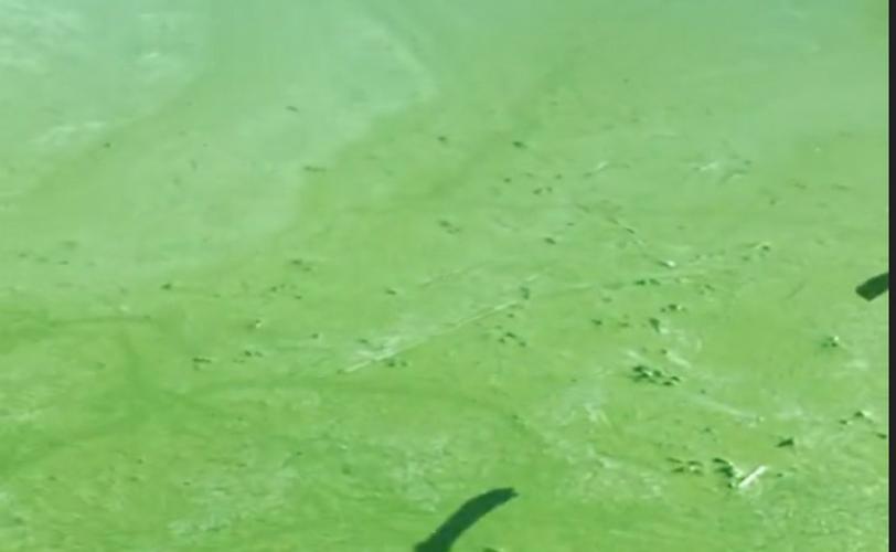 вода