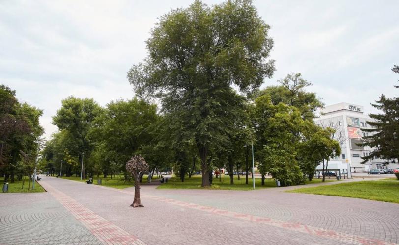 город