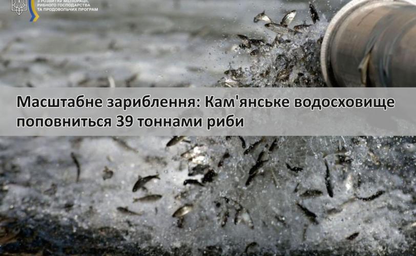 зариблення