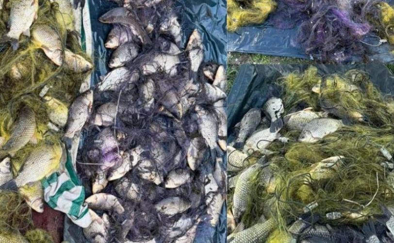 браконьєри