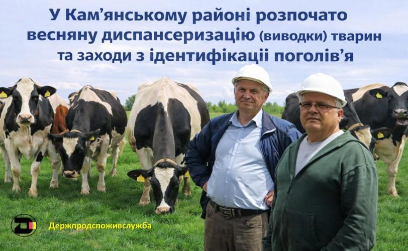 диспансеризація