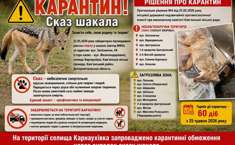 сказ