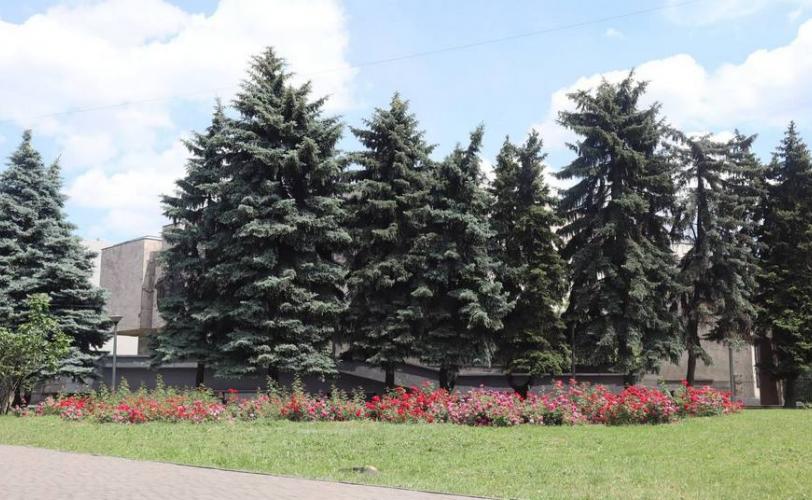 ситуація в місті