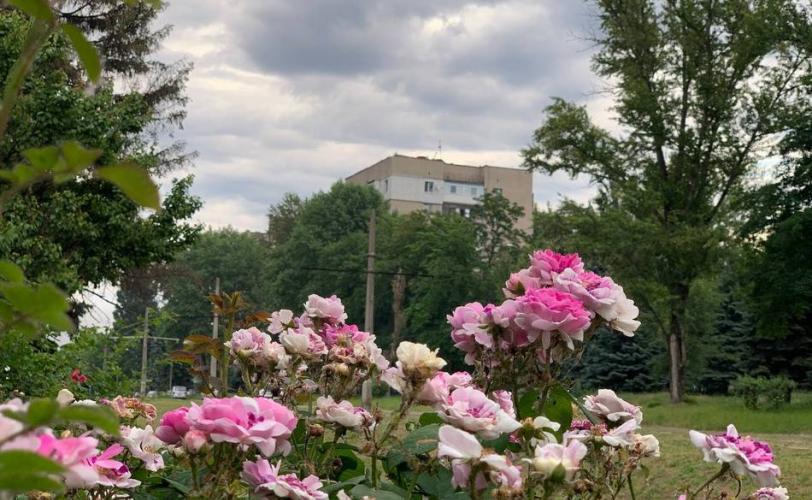 ситуація в місті
