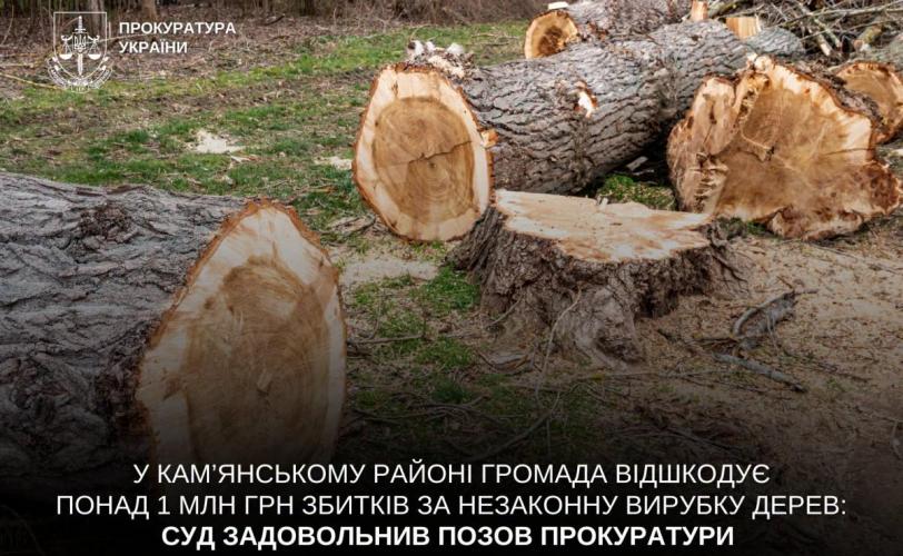 вирубка дерев