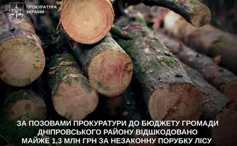 вирубка лісу