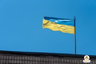 бджола