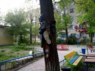 тапки