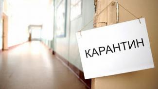 карантин