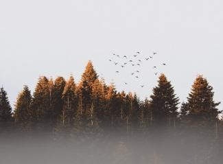приметы