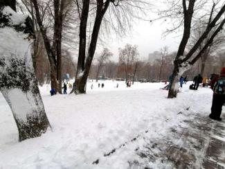 санки