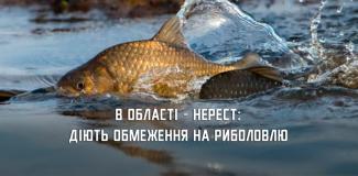 рыба