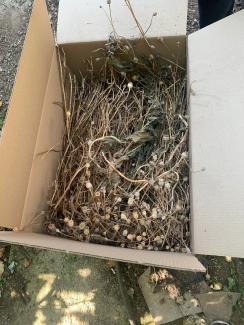 наркотики