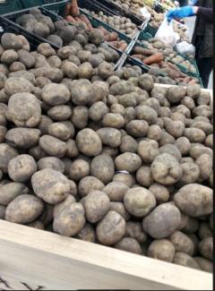 Скільки коштує картопля у Кам’янському