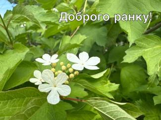 мер