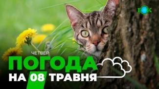 погода