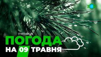 погода