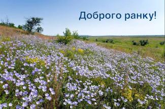 ситуація в місті