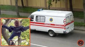 впасти