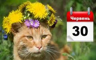 погода