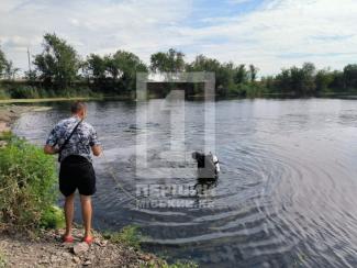 утоп