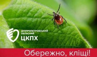 кліщі
