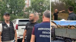 вирубування лісів